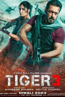 Tiger 3 (2024)